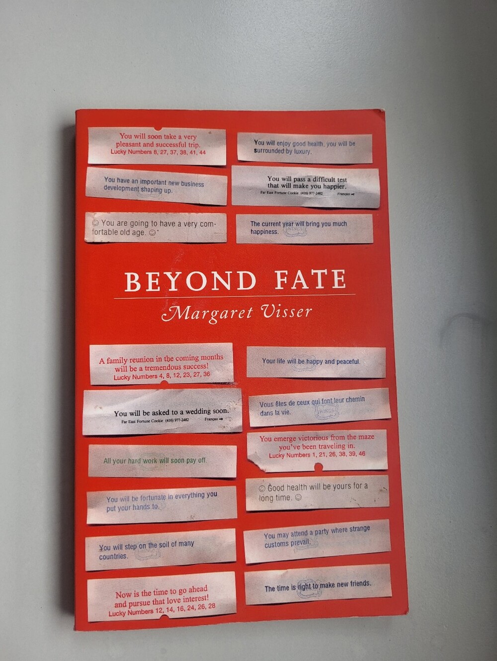 Beyond Fate Magnetic Poster - Bold Red Inspirational Wall Art